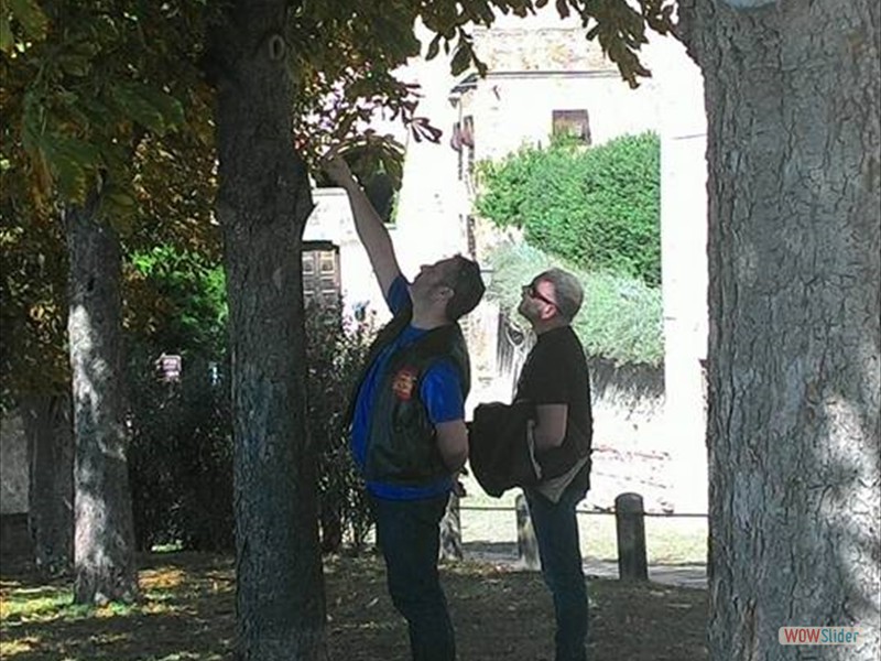 montagnana_07