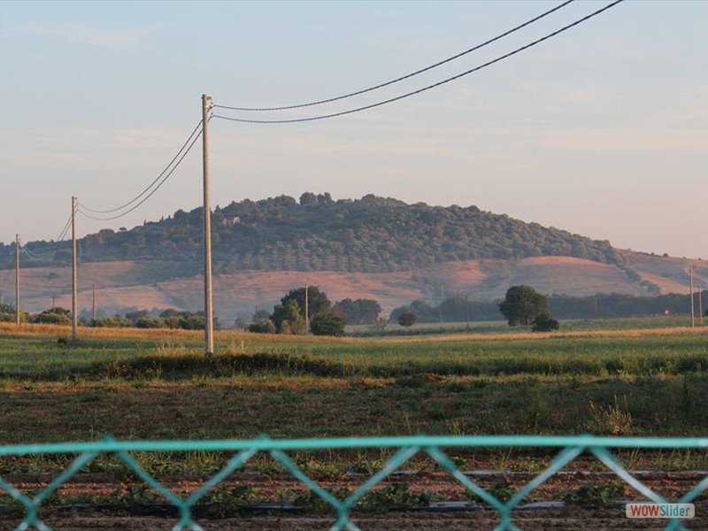 run-toscana_05