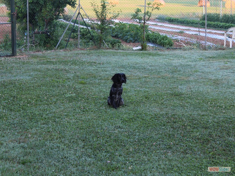 run-toscana_52