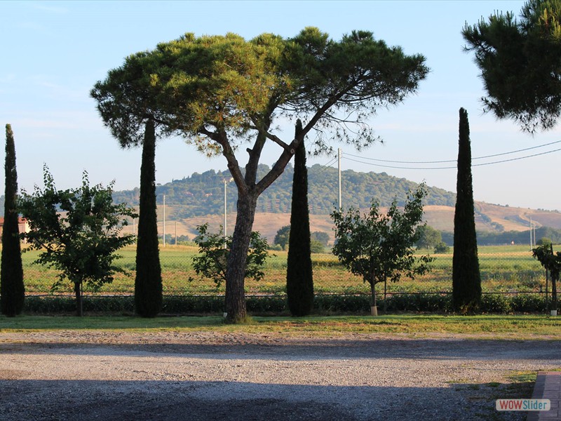 run-toscana_59