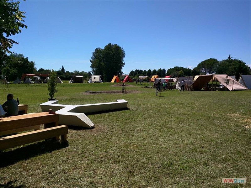 grado_11