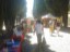grado_09