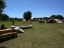 grado_11