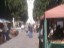 grado_15