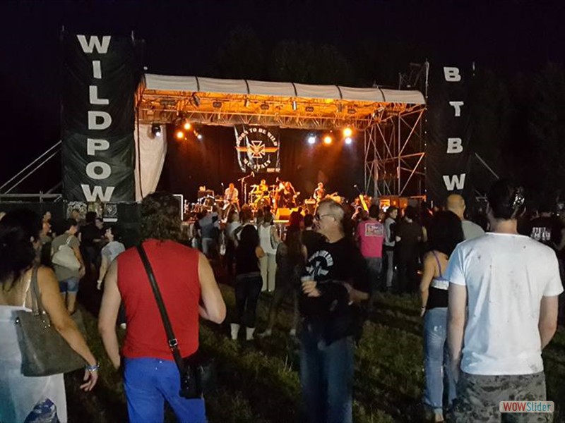 wild life run_01