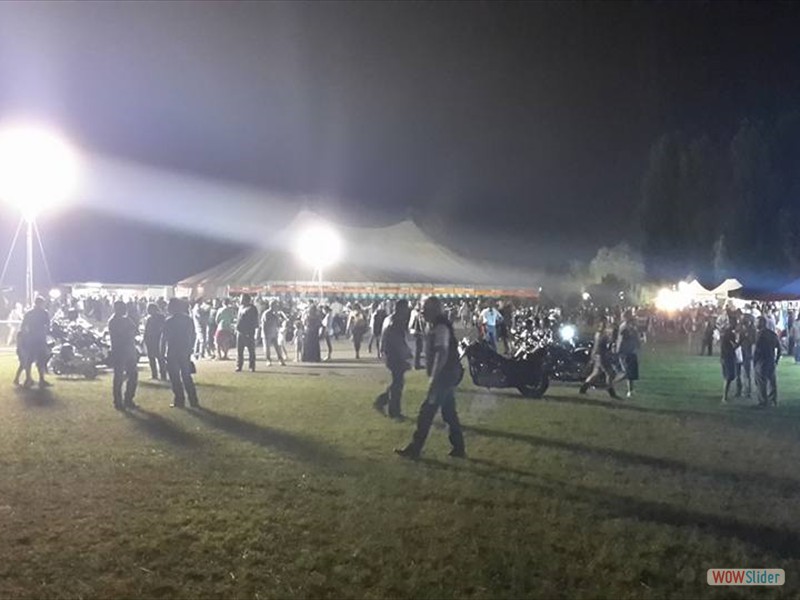wild life run_02
